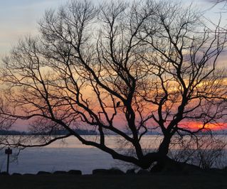 Solnedgang ved Arresø